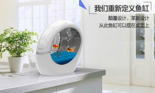 稀品匯 科技與新概念的互聯網營銷先鋒，引領布加桌寶線上銷售新潮流